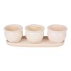 Accent Plus Ceramic Mini Planter Set - Ivory Round