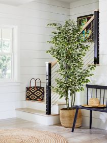 180cm small leaf white-sided banyan tree