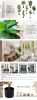 Artificial Tree-Faux Tropical Fake Plan  3.5 Ft Tall Aritificial Tree for Home Decor - Living Room;  Garden;  Office Indoor/Outdoor;  120cm