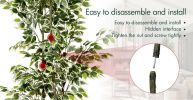 180cm small leaf white-sided banyan tree