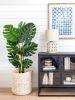 110cm open smile Artificial Tree-Faux Tropical Fake Plan  Aritificial Tree for Home Decor - Living Room;  Garden;  Office Indoor/Outdoor;  110cm